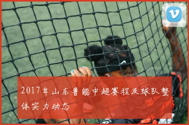 2017年山东鲁能中超赛程及球队整体实力动态