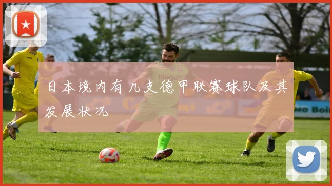 日本境内有几支德甲联赛球队及其发展状况