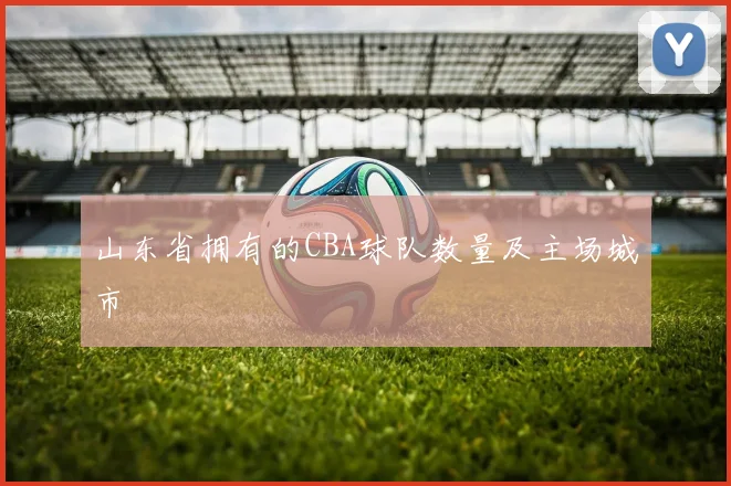 山东省拥有的CBA球队数量及主场城市